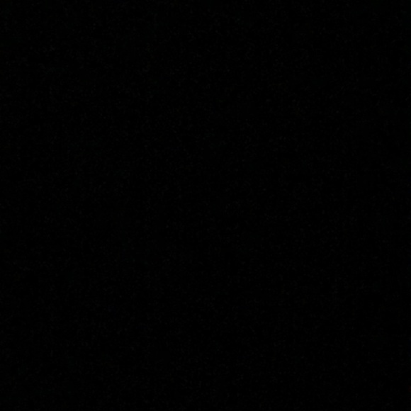 Meet your Posher, Bella - Picture 1 of 1